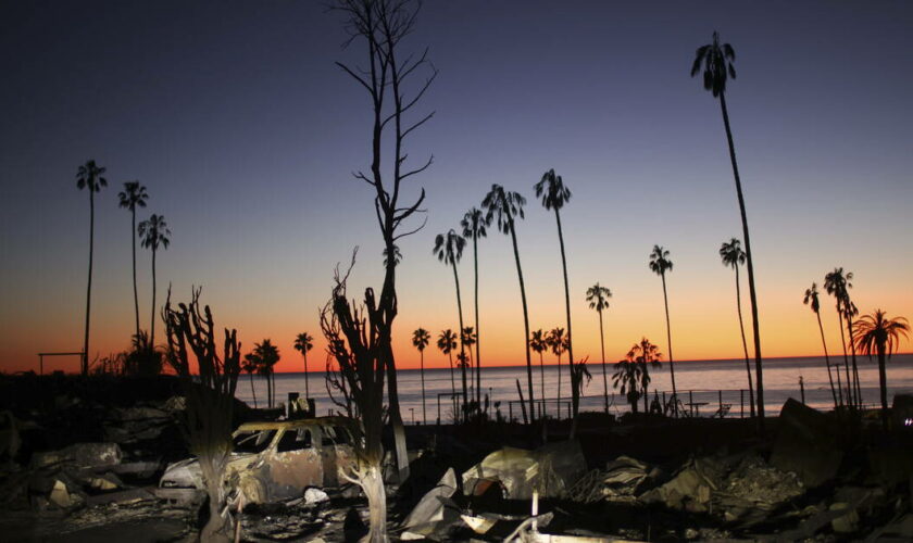 Los Angeles à brûle-pourpoint, par Luc Le Vaillant