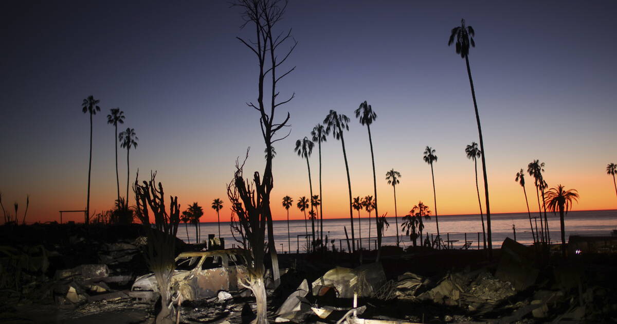 Los Angeles à brûle-pourpoint, par Luc Le Vaillant