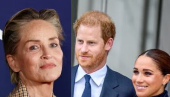 Sharon Stone reveals what Harry and Meghan are like as neighbours in resurfaced interview