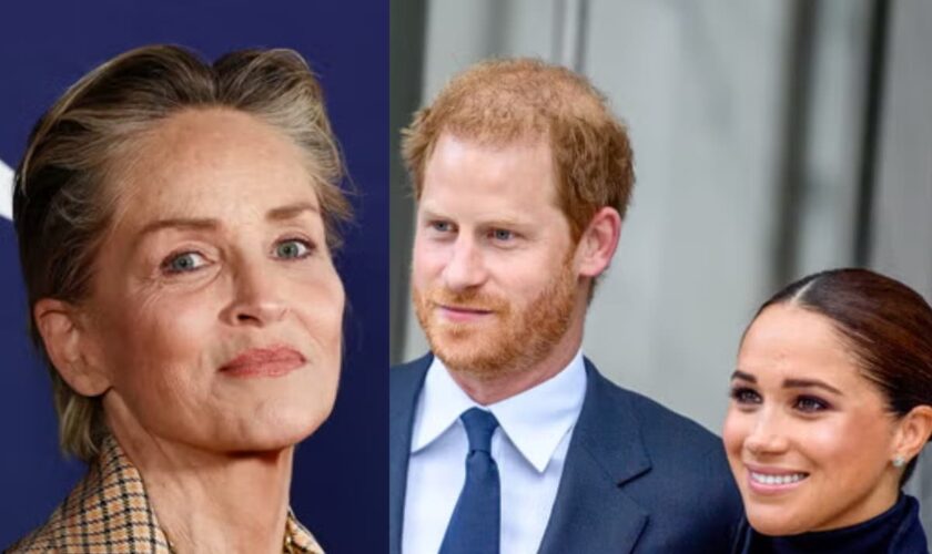 Sharon Stone reveals what Harry and Meghan are like as neighbours in resurfaced interview