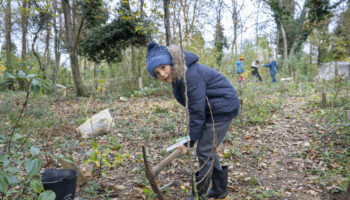 Ecologie : de l’importance de rester optimiste et actif