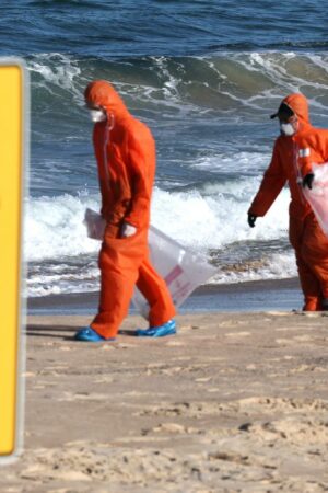 En Australie, la composition des mystérieuses boules échouées sur les plages de Sydney se révèle peu à peu