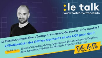 REPLAY. Le Talk - L'élection présidentielle américaine et le bilan de la COP16 sur la biodiversité