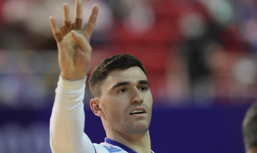 HANDBALL. France - Hongrie : un choc à sens unique, suivez le match en direct