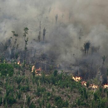 Au Brésil, la superficie végétale brûlée par les incendies a bondi de 79% en 2024