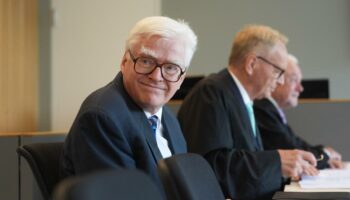 Bundestagswahlkampf: Umstrittener Mediziner spendet AfD 1,5 Millionen Euro