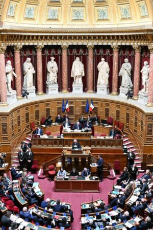 La loi d'orientation agricole adoptée en commission au Sénat, avant son examen en séance publique début février