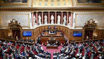 La loi d'orientation agricole adoptée en commission au Sénat, avant son examen en séance publique début février