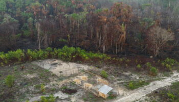 Brésil : la superficie végétale brûlée par les incendies a bondi de 79 % en 2024