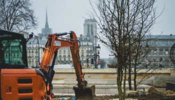 « Planter, c’est bien. Mais il faut aussi cesser d’artificialiser » : quel est l’impact réel des forêts urbaines ?