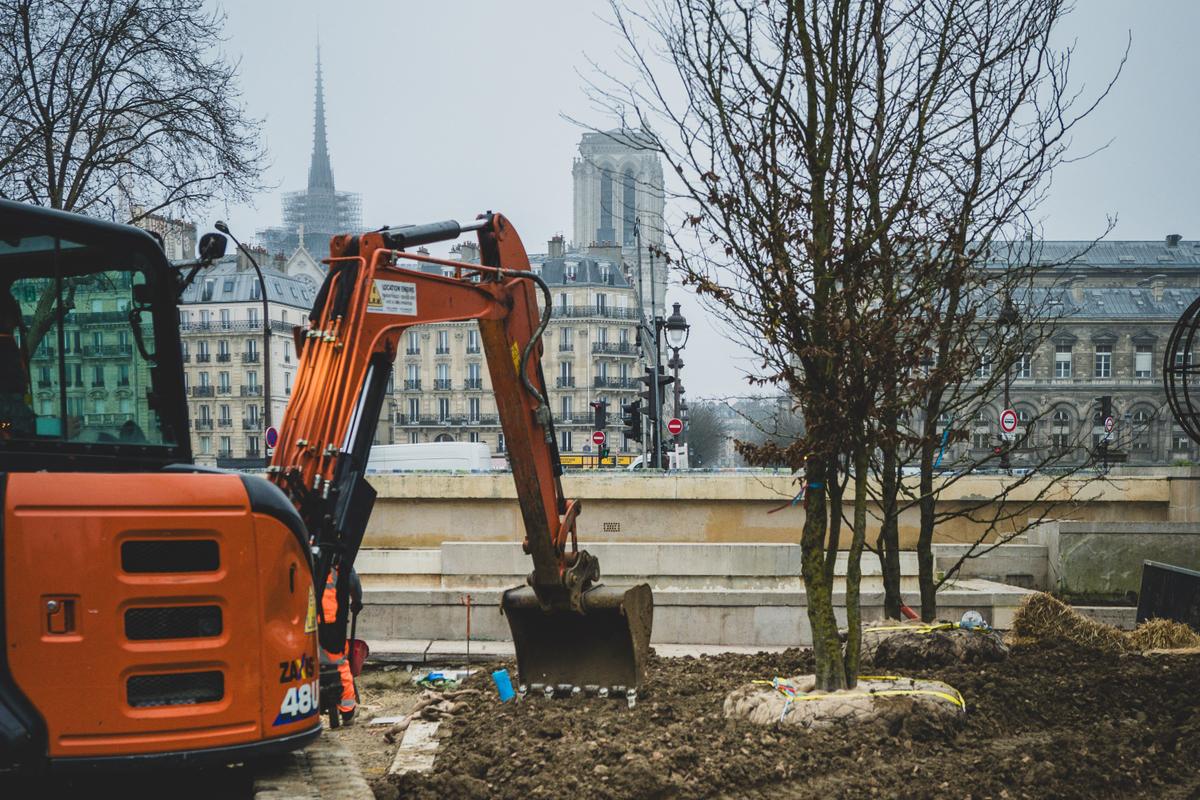 « Planter, c’est bien. Mais il faut aussi cesser d’artificialiser » : quel est l’impact réel des forêts urbaines ?