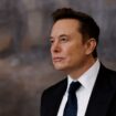 Stargate: Musk kritisiert von Trump verkündetes KI-Projekt