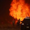 Officers take cover from the Hughes Fire in Los Angeles, California. Pic: Reuters