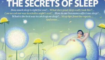 “New Scientist” perce les secrets du sommeil