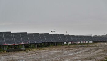 L’énergie solaire a dépassé le charbon en Europe en 2024