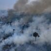 Incendies au Brésil : pourquoi l’année 2024 a été catastrophique