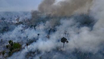 Incendies au Brésil : pourquoi l’année 2024 a été catastrophique