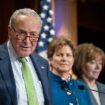 Schumer supports Democrats delaying all Trump nominees who lack unanimous support