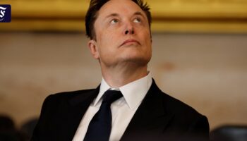 Wovor Musk die Menschheit retten will