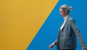 Migrationspolitik: CDU weist "vergiftetes Angebot" von AfD-Chefin Weidel zurück