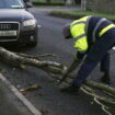 Tempête Eowyn : rafales dignes d’un ouragan en Irlande, plus de 500 000 foyers sans électricité