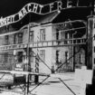 Il y a 80 ans, la libération d’Auschwitz