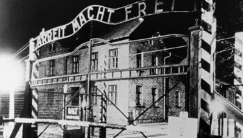 Il y a 80 ans, la libération d’Auschwitz