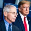 Trump revokes security detail for Fauci