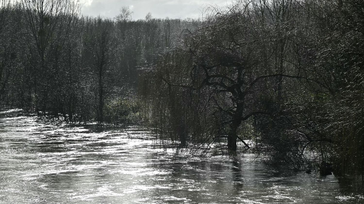 L'Ille-et-Vilaine et le Calvados en vigilance orange crues à cause du passage de la tempête Eowyn