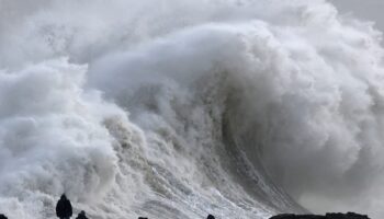 UK weather – latest: Second man killed in Storm Eowyn as Herminia brings heavy rain and 80mph winds