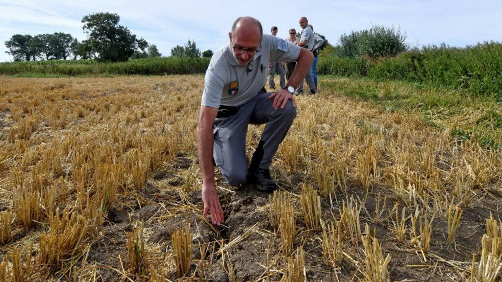 Entre l’OFP et les agriculteurs, le gouvernement mise sur « le port d’arme discret » pour apaiser les relations