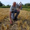 Entre l’OFP et les agriculteurs, le gouvernement mise sur « le port d’arme discret » pour apaiser les relations