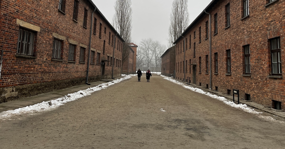 Le 23 janvier 2025, près de 200 élèves de la région PACA ont visité le camp d'Auschwitz-Birkenau, accompagnés par la région PACA et le Mémorial de la Shoah.