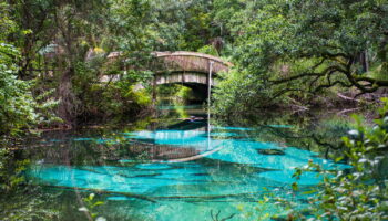 Oubliez Miami, cette perle cachée fait découvrir la vraie Floride