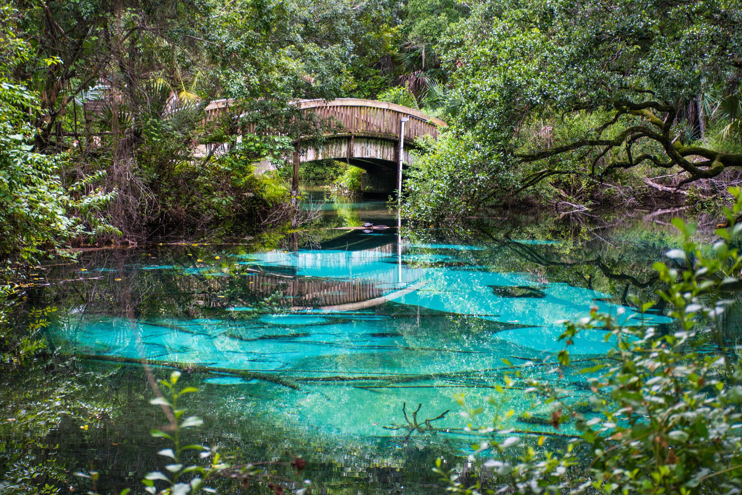 Oubliez Miami, cette perle cachée fait découvrir la vraie Floride