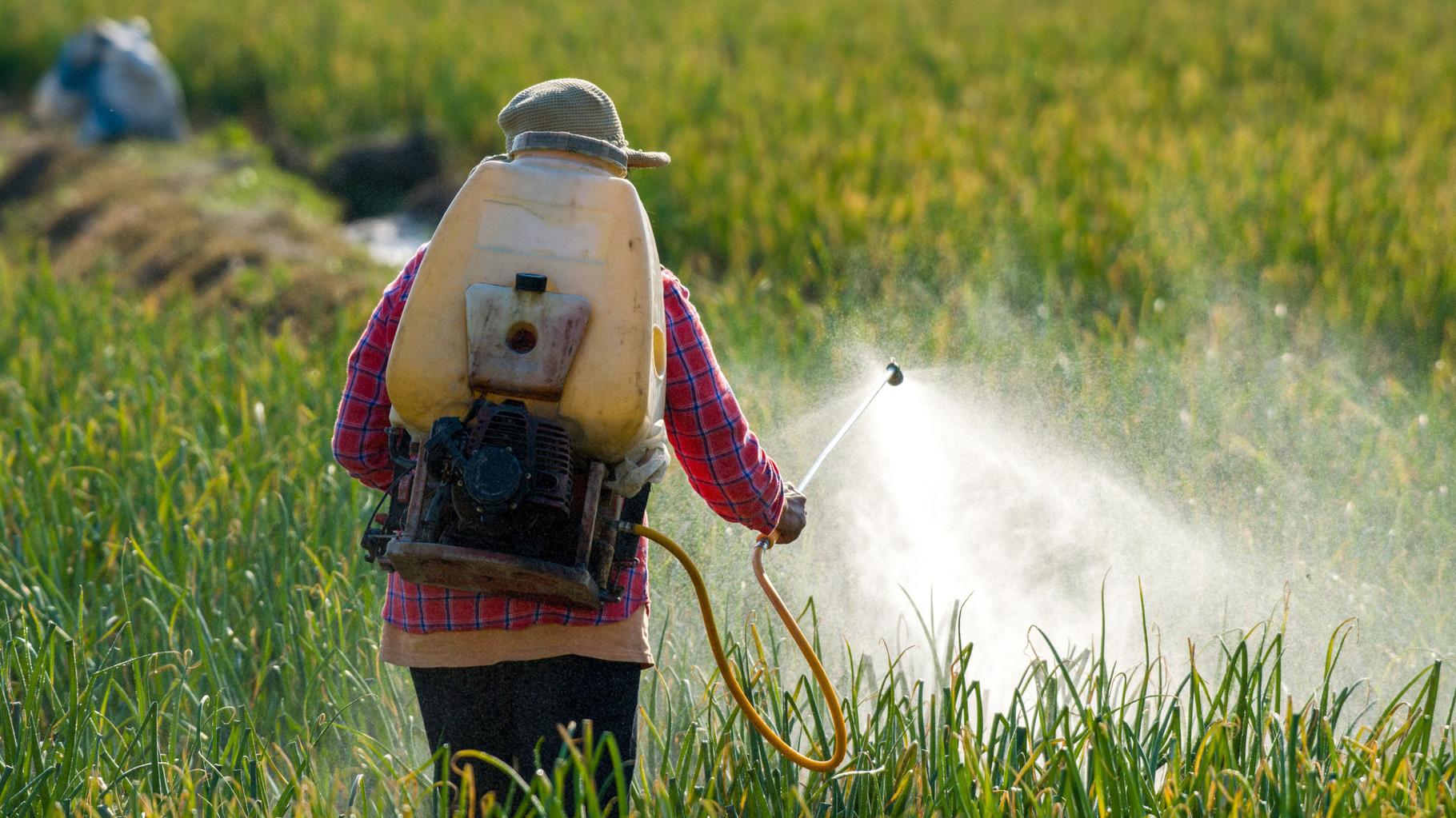 C’est quoi l’acétamipride, ce pesticide controversé au cœur des débats au Sénat