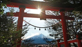 “J’ai enseigné dans un lycée japonais”