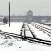 Bericht eines KZ-Überlebenden: József Debreczenis „Kaltes Krematorium“