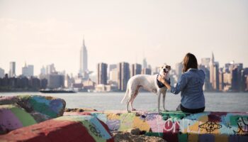 Des jours « animaux malades » comme pour les enfants ? Cet élu de New York a déposé un projet de loi