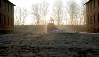 80 Jahre Auschwitz-Befreiung: Live: Auschwitz-Überlebende sprechen bei Gedenkveranstaltung