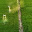 L’Assemblée autorise l’épandage par drone de produits phytosanitaires pour certaines cultures