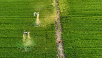 L’Assemblée autorise l’épandage par drone de produits phytosanitaires pour certaines cultures