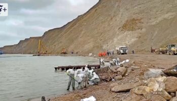 „Beispielloses Ereignis“: Jahrhundertölpest im Schwarzen Meer