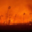 Climat : le réchauffement a rendu les incendies de Los Angeles 35 % plus probables, selon une étude