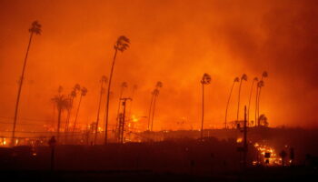 Climat : le réchauffement a rendu les incendies de Los Angeles 35 % plus probables, selon une étude