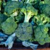 Walmart broccoli recall elevated to highest level by FDA over risk of ‘death’