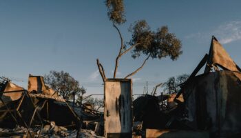 Mission impossible à Los Angeles : rebâtir des quartiers adaptés à la menace du feu