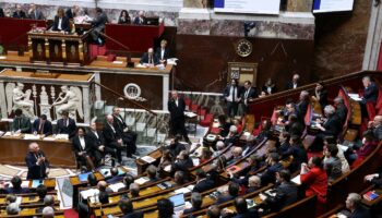 Le Premier ministre François Bayrou s'exprime le 28 janvier 2025 à l'Assemblée nationale à Paris