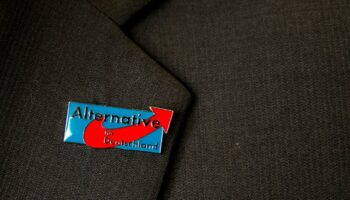 Parteiverbot: Abstimmung zum AfD-Verbotsverfahren wohl erst nach Bundestagswahl