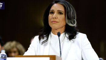 Senatsanhörung: Warum Tulsi Gabbard Trumps größte Sorge ist